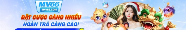 emv66com
