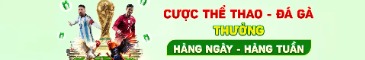 qq88li