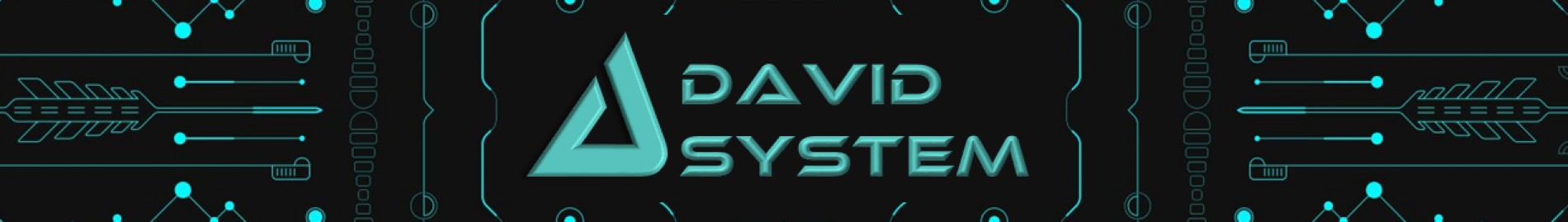 David System