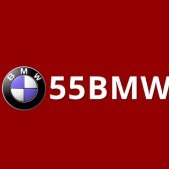 55bmworgphtop