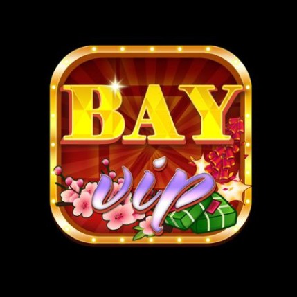 bayvipcam