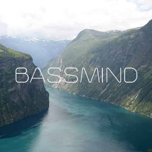 BassMind music