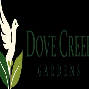 dovecreekgardens