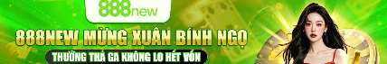 888newbetcc