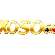 cxoso66com