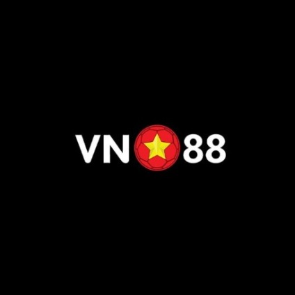 vn88foundation