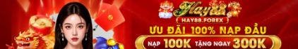hay88forex
