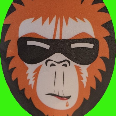 House Without A Name