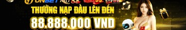 100Vips10com