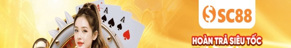 sc88guide
