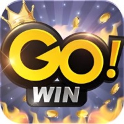 gowincocom