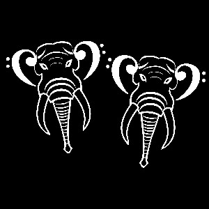 Bass Elephants