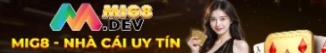 mig8dev