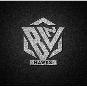 Bvnhawks