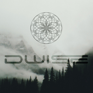 dWise