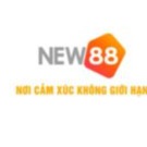 new88vicom