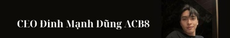 ceodinhmanhdungacb8