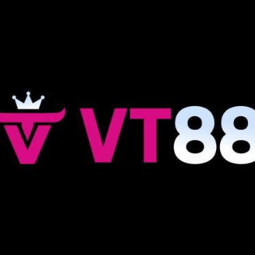 vt88cam