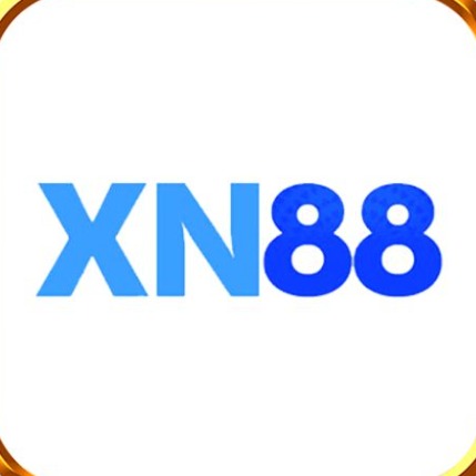 xn881net