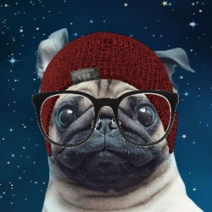 Hipster Pug