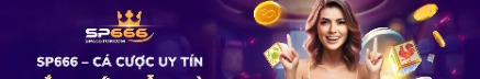 sp666top
