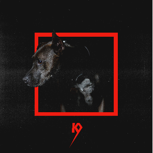 K9official