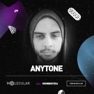 Anytone