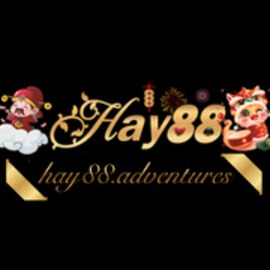 hay88ventures