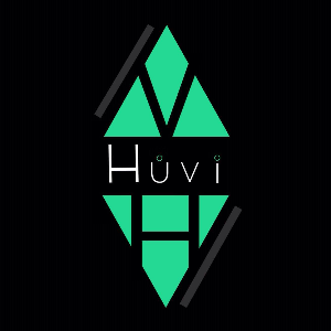 Huvi