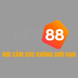 new882info21