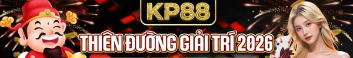kp88vnnet
