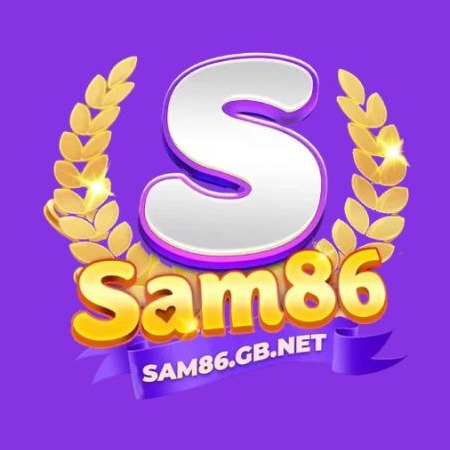 sam86gbnet