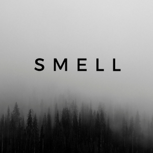 smellmusic