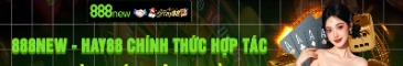 888new01cncom