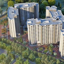 PrestigeEvergreenGallery