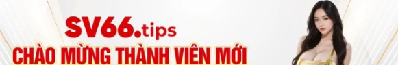 Sv66tips