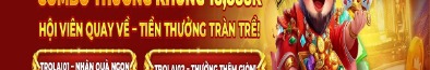 nohutraining