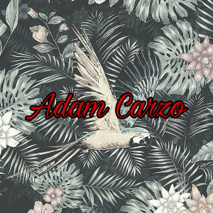 Adam Carzo