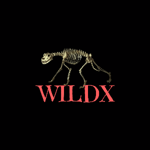 wiLdX