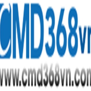 cmd368vncinnet