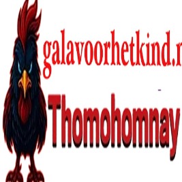 thomohomnaygalavoor