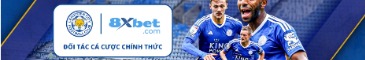 8xbet444bet