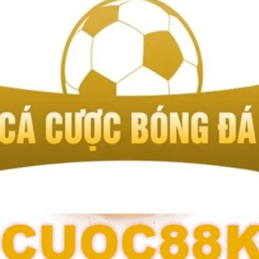 cacuocbongdainfo