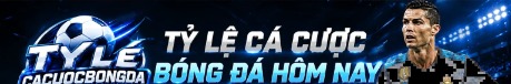 tylecacuocbongdaio