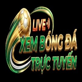 xembongdattltn