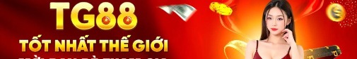 tg88bmcom