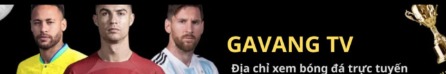 gavangtvvcc