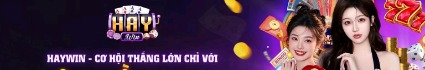 haywincocom