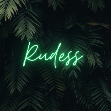Rudess