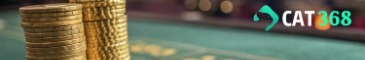cat368moicom